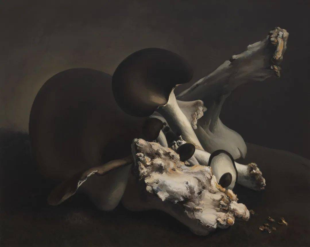 �����죺�����˶Ծ��ӵ����������Ӧ���á��ж���������