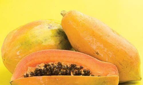 木瓜木瓜性温、味酸，入肝、脾经;具有消食，驱虫，清热，祛风的功效;主