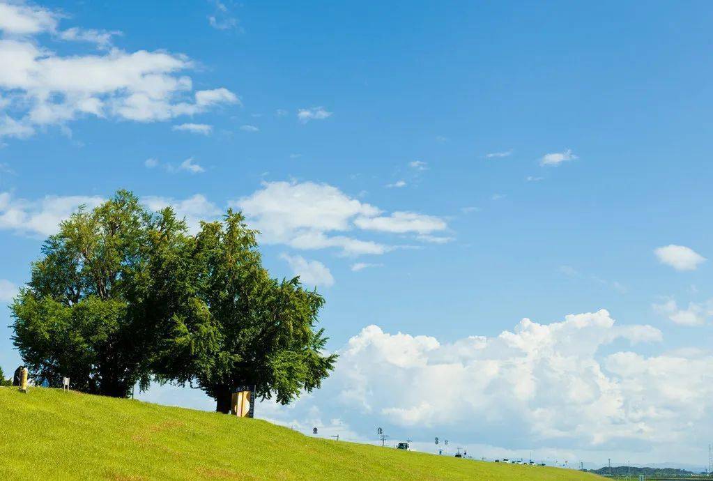 100λŵ������ѧ���޽���100����������