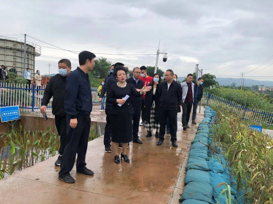【动态】市政协副主席刘旭晴率队调研濑溪河流域水