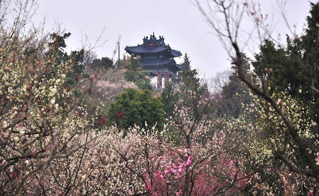 南京这个景区，虽是帝王陵墓所在地，却藏着四季皆美的景色