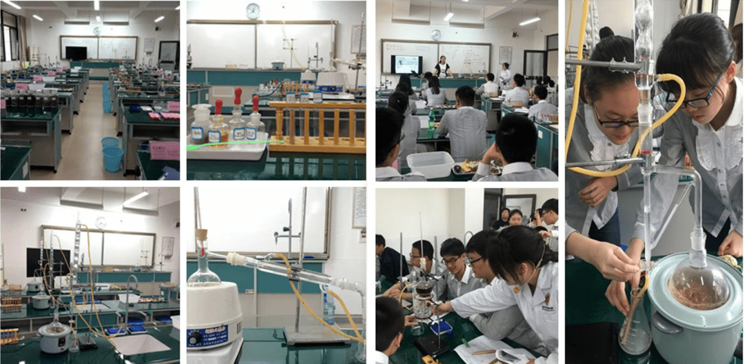 专题:设计跨学科项目,在实践活动中有效落实学生核心