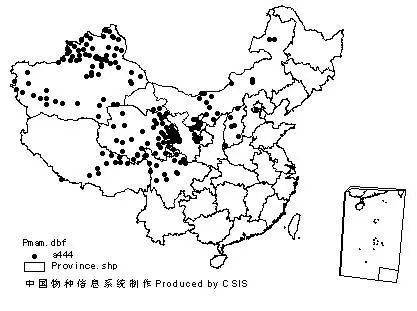 根据过往数据统计,1950年代,中国西部年收购兔猕毛皮超过一万张.