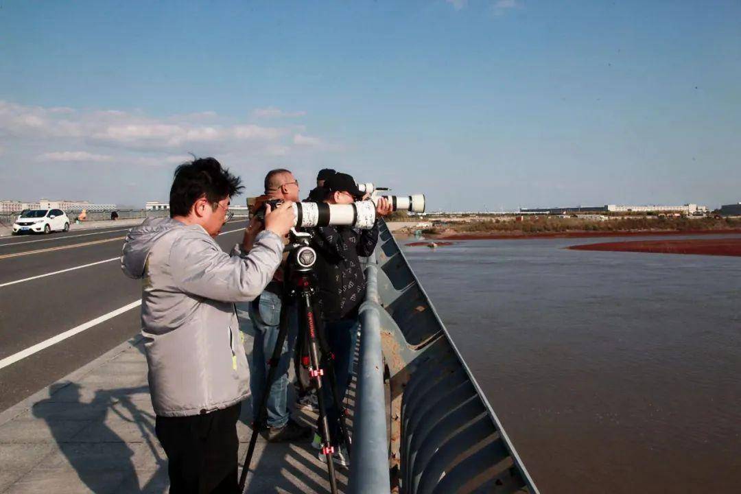 深秋来南海看“红海滩”