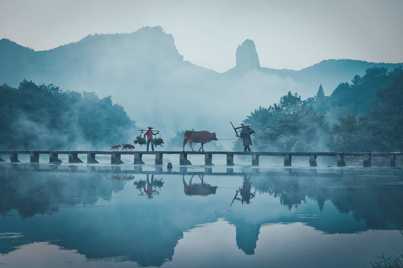 如果浙江只有一个桃花源，那一定是这里！