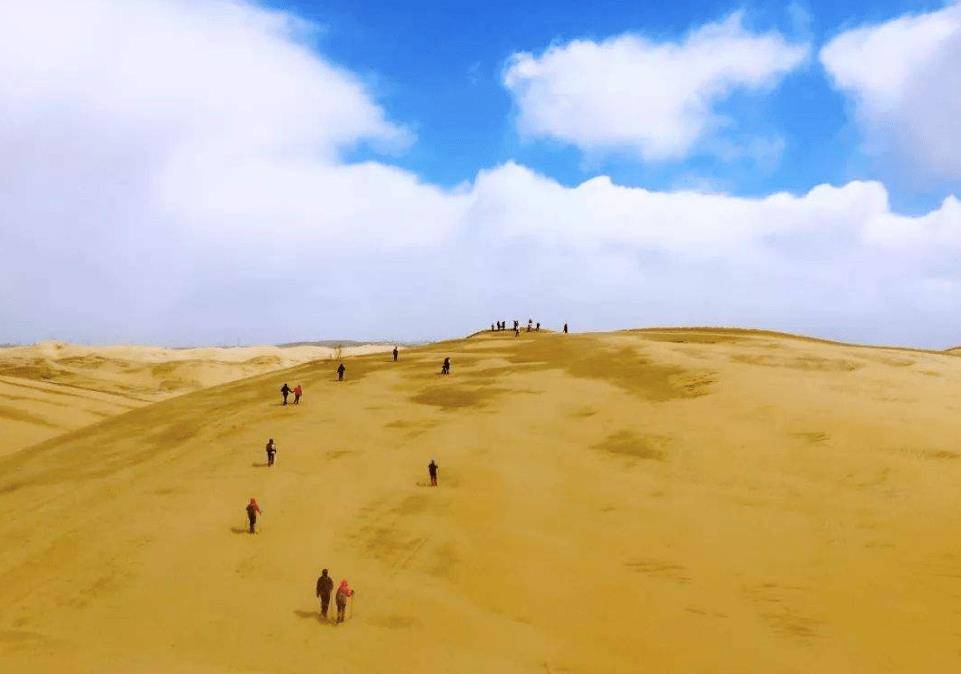 为什么缺水的沙漠，如果连降24小时骤雨，当地人会感到烦恼呢？