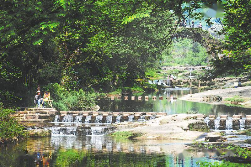 雅安市雨城区：让文旅之花绽放得更加艳丽