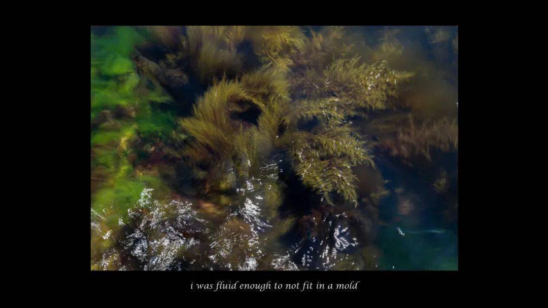 �ھŽ���Ϲ�����Ӱ˫��չ��Ʒ�������䡢�¼��¸�У��