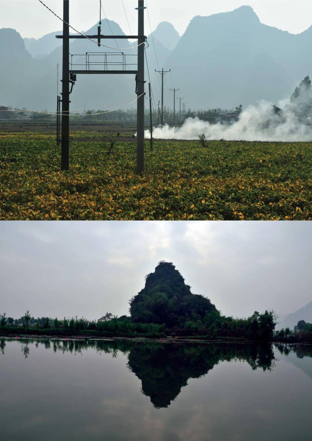 �ھŽ���Ϲ�����Ӱ˫��չ��Ʒ�������䡢�¼��¸�У��