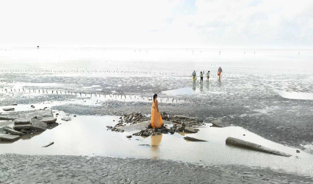 �ھŽ���Ϲ�����Ӱ˫��չ��Ʒ�������䡢�¼��¸�У��