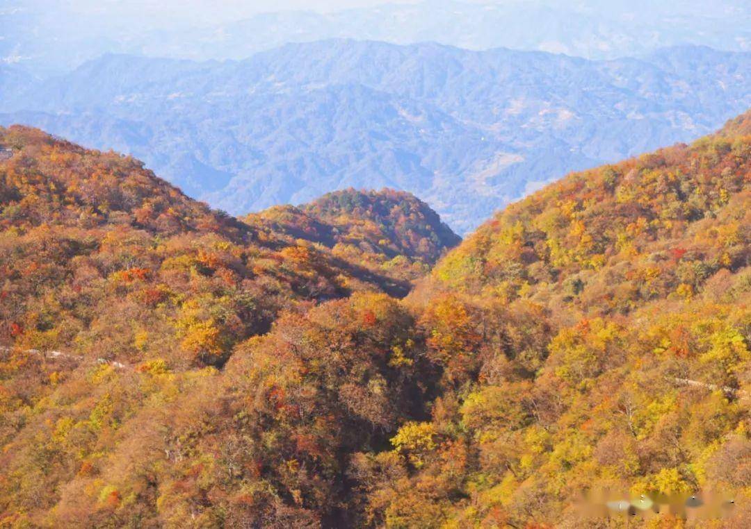 龙头山彩林观赏指数爆表，万木斑斓，色彩浓郁，美似油画