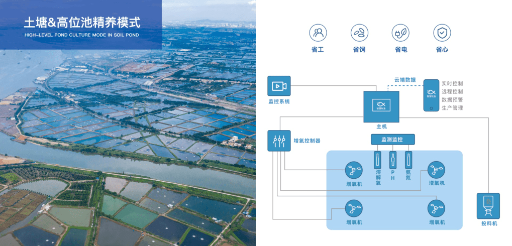 在原土塘或高位池的传统养殖方式的基础上增加自动化设备,物联网设备