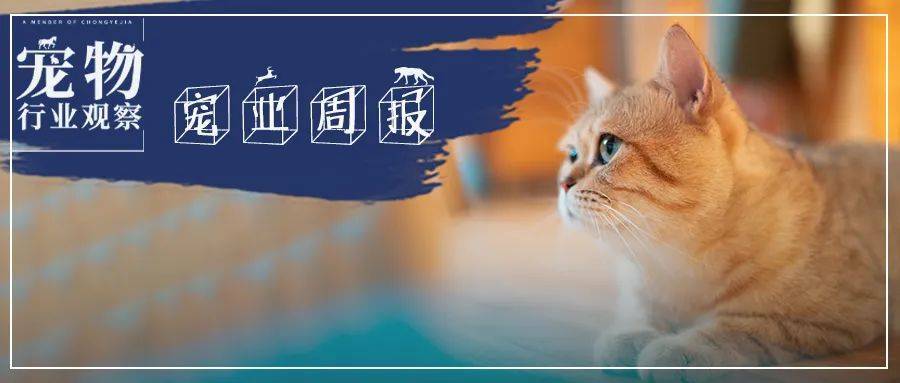 上海三代试管流程（宠业周报丨未卡子公司融资；维克新建基地；四款宠物药获批；雀巢三季报）