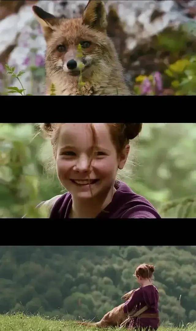 10���������ݵĵ�Ӱ��С���ѵ�Ц����ĺ�����