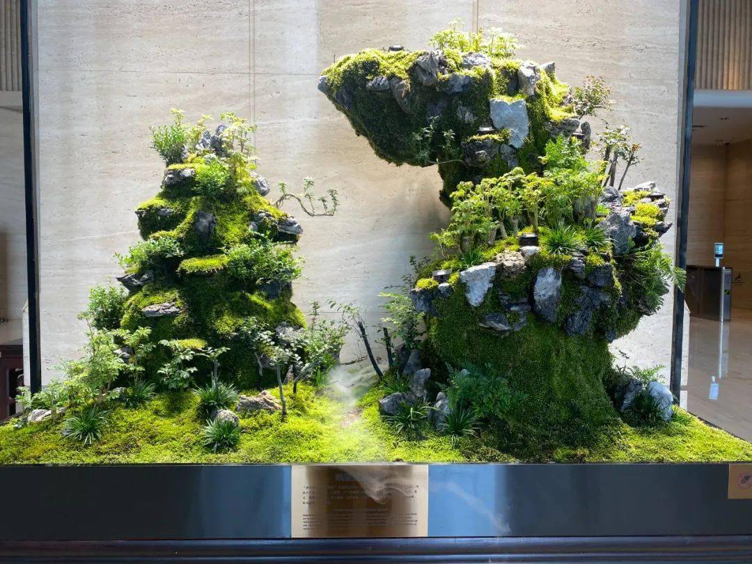 盆景 盆栽 植物 1080_810