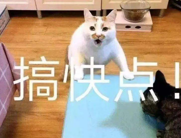 国内正规的助孕公司（这都可以？）