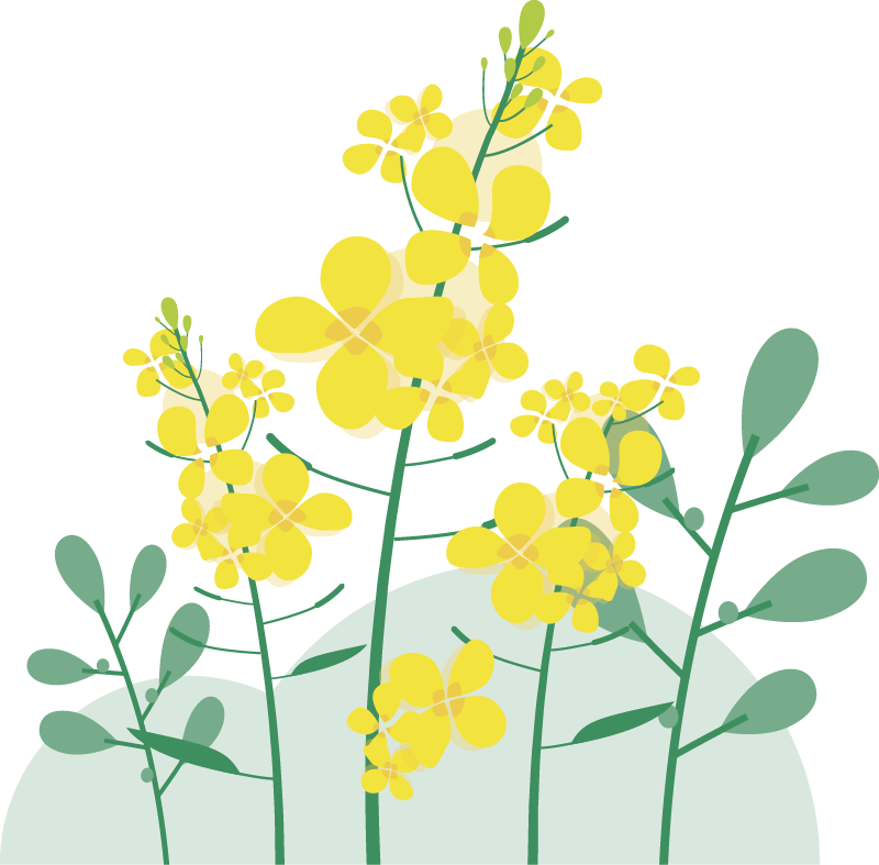 【安徽宣城】皖南小川藏线、水墨汀溪、黄田古村自驾2日游 【安徽宣城】皖南小川藏线、水墨汀溪、黄田古村自驾2日游