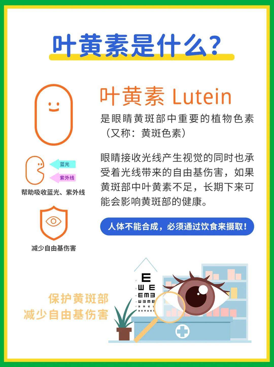 叶黄素酯！这是什么好东西