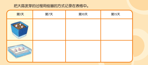 幼儿科学探究过程中教师有效指导的策略_活动_进行_经验