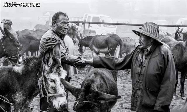 毕安社:父亲与军旅的爱恨情仇_部队_爷爷_经历