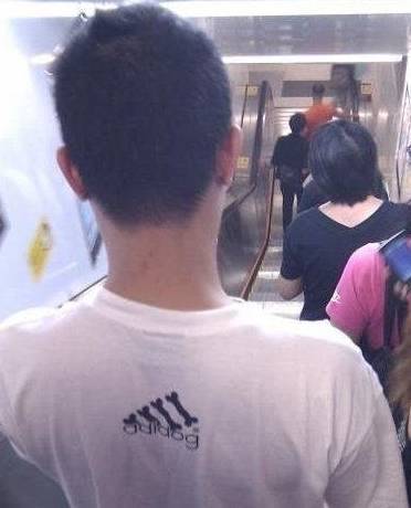 原创
幽默笑话:我家二哈脸皮有多厚?它头枕着仙人球睡觉都没事