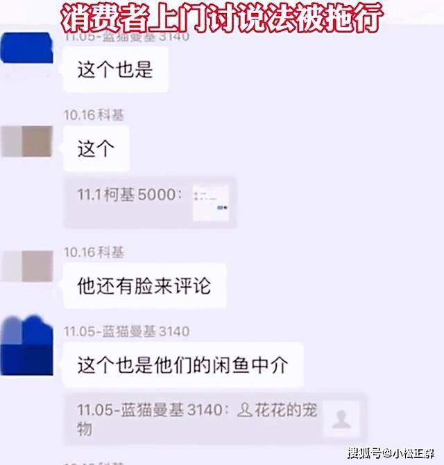 上海：宠物店卖礼拜猫，女子上门讨说法惨遭拖行，警方已介入查询拜访