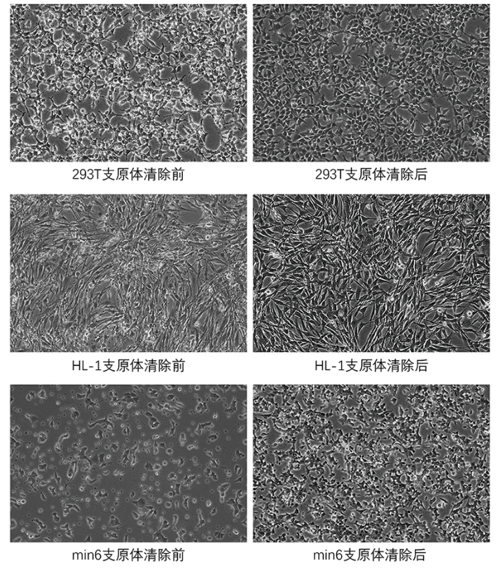 成功案例-飞凡检测通用的快速基因诊断技术,经大量实验证实,能保证所