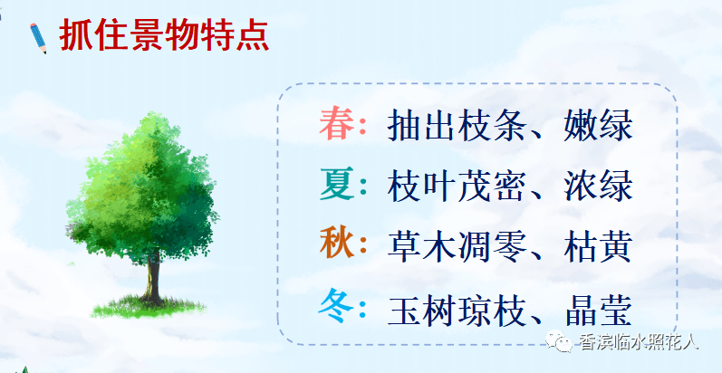 【思维导图画作文——这儿真美】三年级冯嘉瑞《果园真美》（十四）  三年级作文 第2张