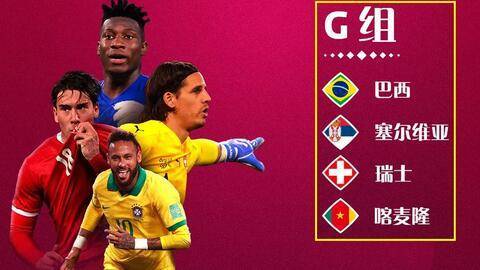 【筱茜茜爱足球】2022卡塔尔世界杯 G组出线预测！