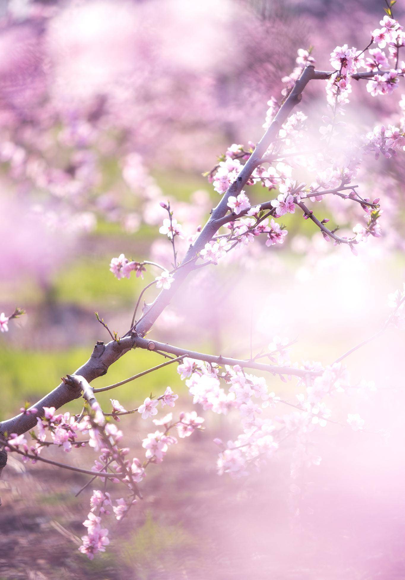 原创
            爱情破镜重圆，喜迎新欢，爱情来临，再次相爱