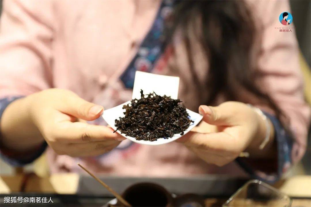 品鉴会︱第85期：几十块的熟茶比千元的熟茶差在哪里？