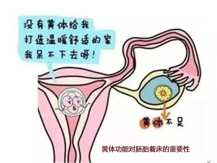 安胎就是补充黄体酮？什么时候使用保胎药？