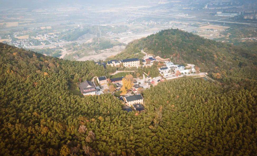 来相逢一场古银杏雨！仙顶寺打卡攻略来咯~