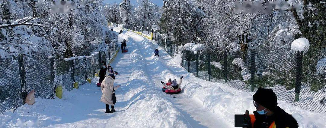 去滑雪,堆雪人,打雪仗.再去"冰雪童萌