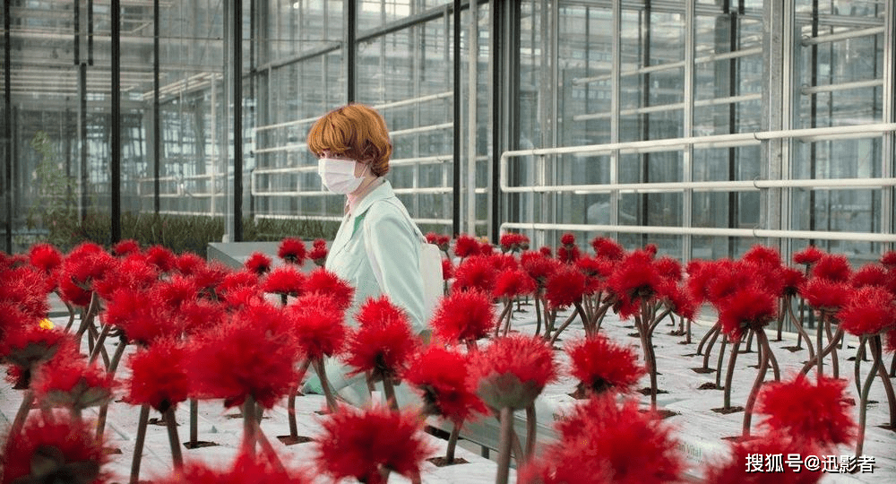 细思极恐的科幻片《小小乔》，一朵娇花引发的世界末日