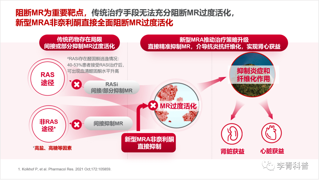 醛固酮受体拮抗剂螺内酯和伊普利酮目前用于难治性高血压和心衰的治疗