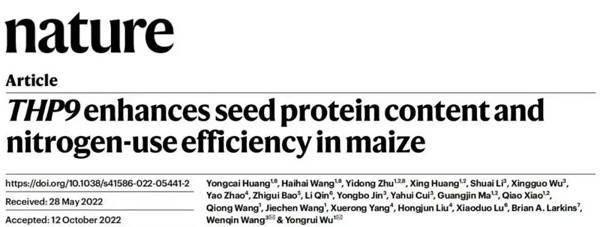 nature|中科院巫永睿研究组成功克隆野生玉米变异基因