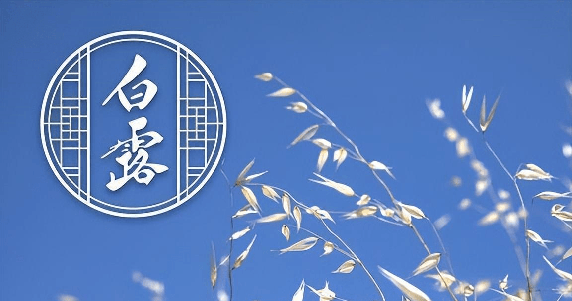 9月7号白露，再忙也别忘吃“白露3宝”，应季而食，滋补又润燥