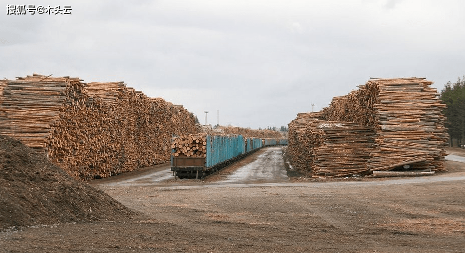 华为手机出口俄罗斯现状
:俄罗斯：原木出口禁令绝不松口 中国原木进口难度增加-第11张图片-太平洋在线下载