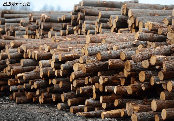 华为手机出口俄罗斯现状
:俄罗斯：原木出口禁令绝不松口 中国原木进口难度增加