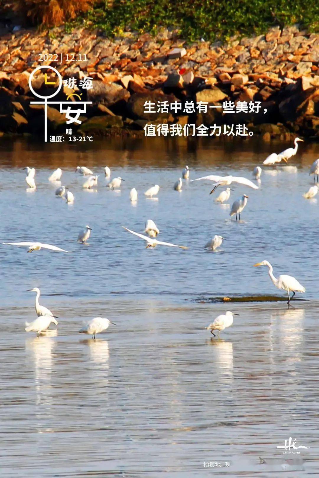 新闻早茶|香海大桥今日正式收费,这份交通小贴士你要!