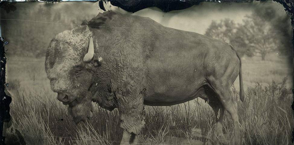 �߻����յķ���