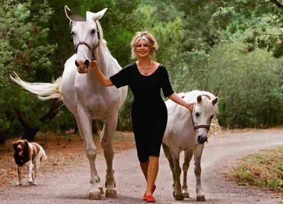 ����ŷ�����˵ġ�����Ů���ǡ�����λ������СҰè����ʵ�е� ...