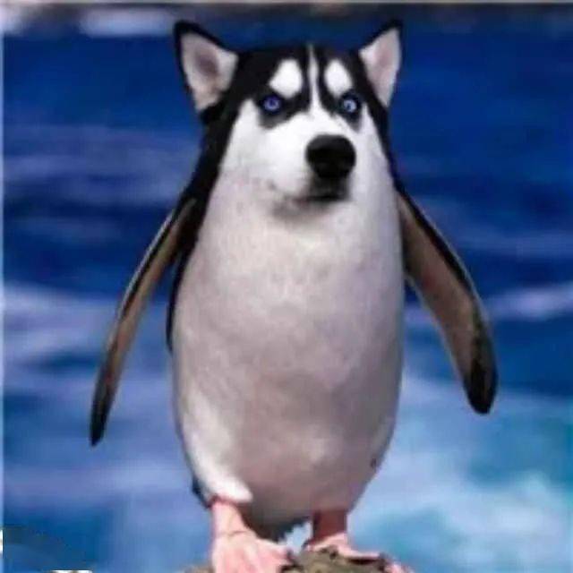 12��24�� | ��ҵ��Щ��