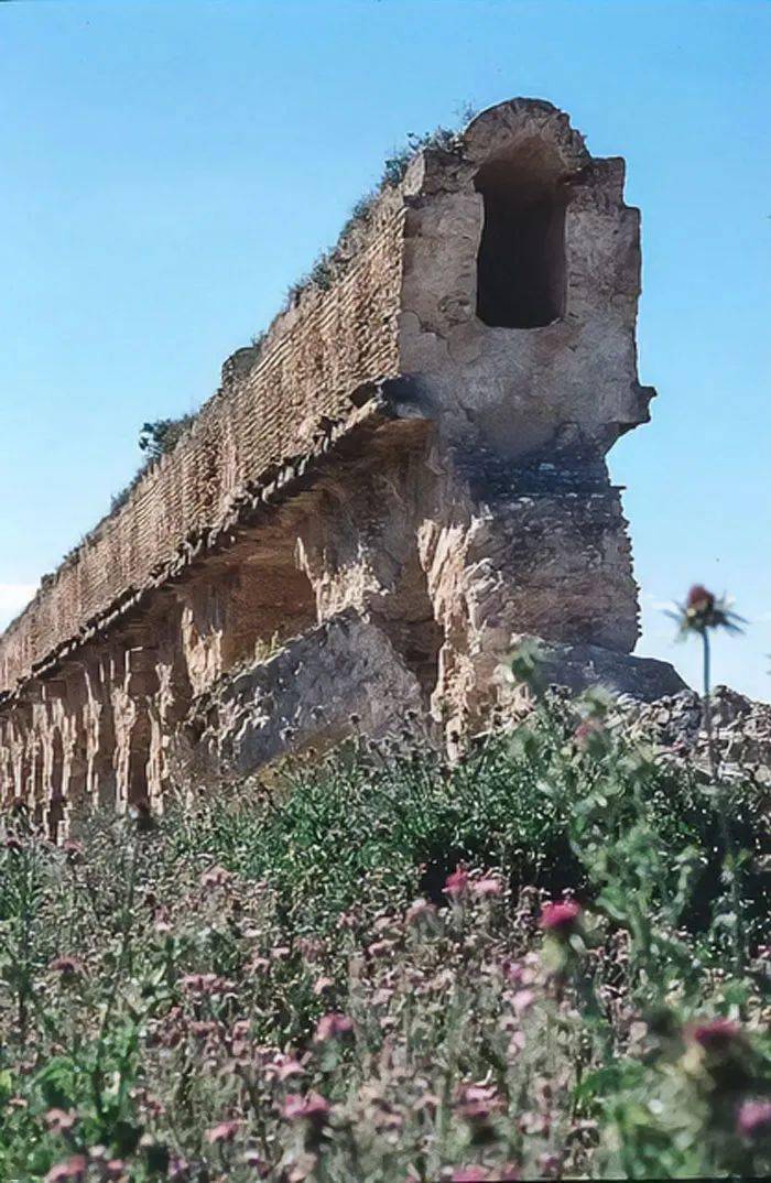 65�Ż��δ������Ƭ�����������Щ����Ľ�����̫������ ...