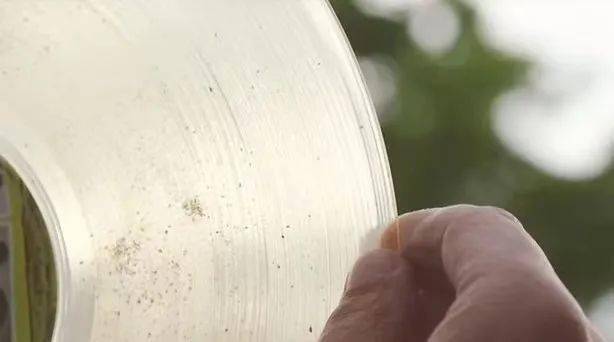 ���ڽ���Ƭ��ò��ٺں�Բ��