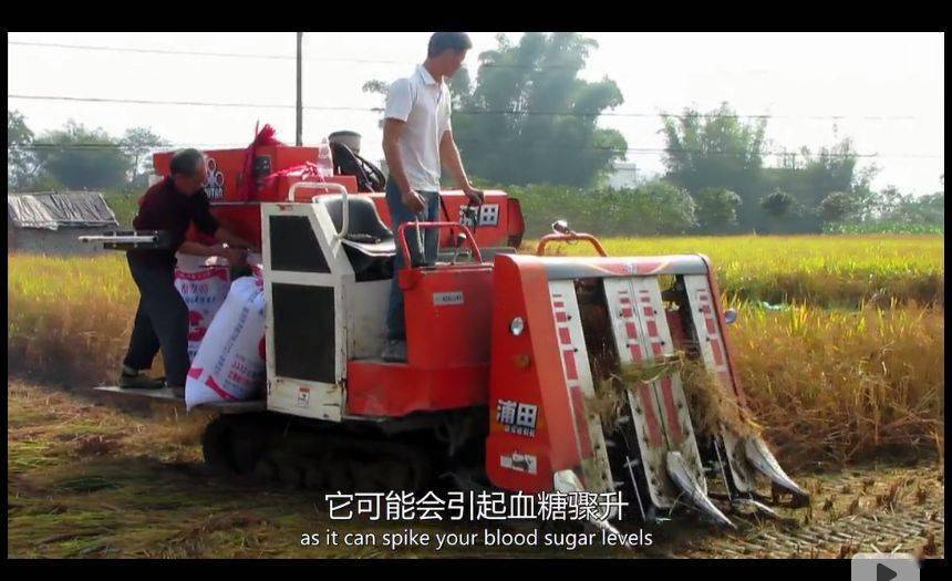 BBC纪录片清点全球最不安康的饮食体例, 中国人中了好多箭……那说的是你吗？