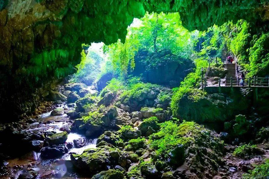 文章配图-15
