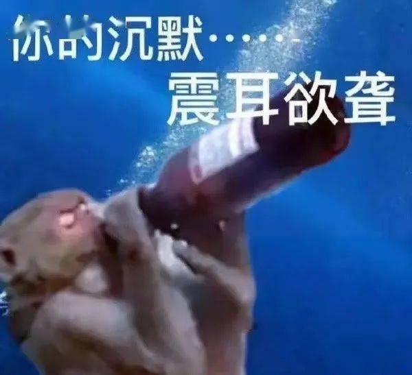 上海徐家汇也有裸眼3D胖橘猫啦？看完我缄默了，觉得还不如家里的投屏