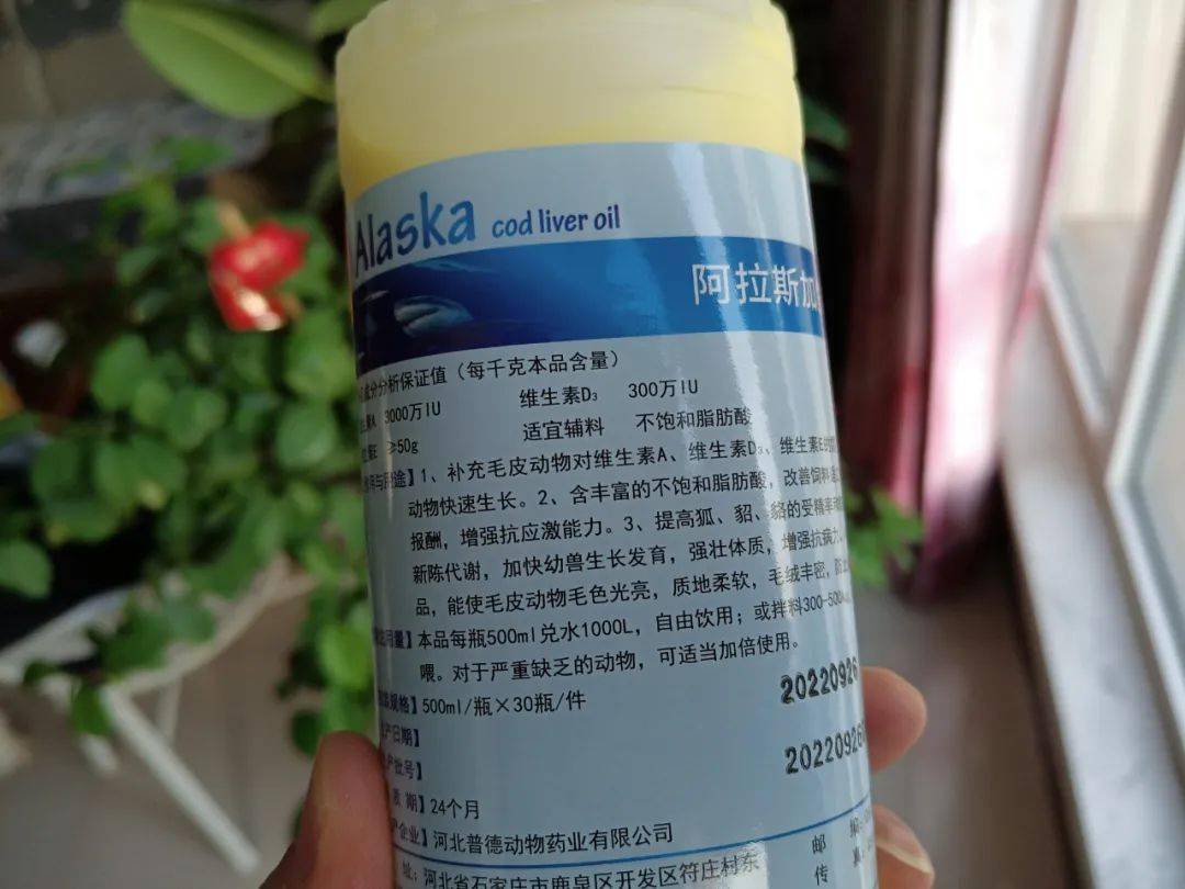 种公兽饲养管理那些事儿